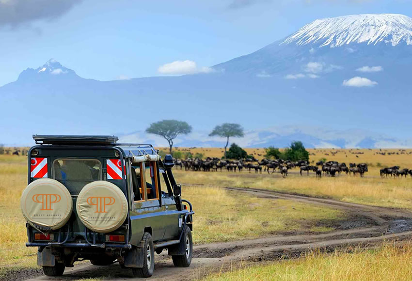 amboseli safari package deals