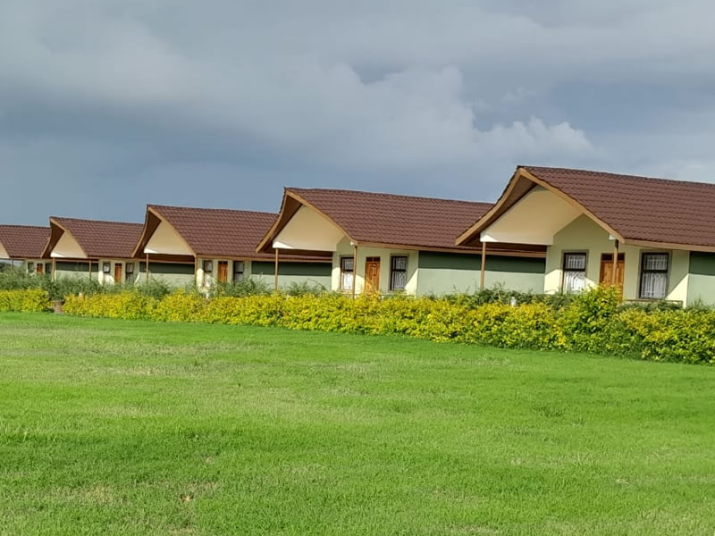 penety amboseli resort photo